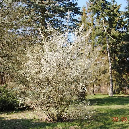 Ferienhaus An Den Lienewitzseen